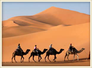Experience Morocco with our packages and tailor-made tours