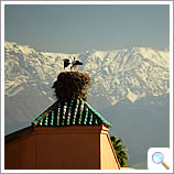 Marrakech and the Atlas