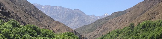 Transfers to the Kasbah