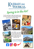 Download our magazine!