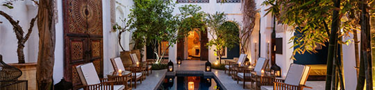 Singing Extravaganza