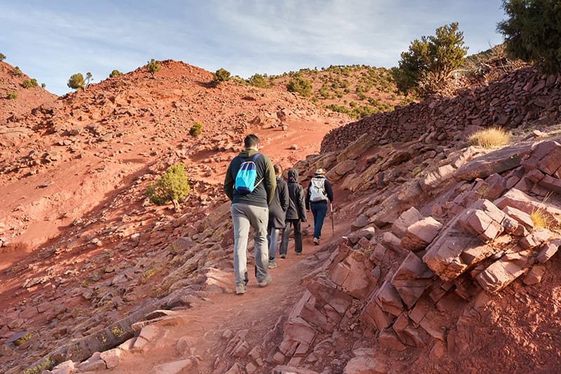 Trekking to the Lodge