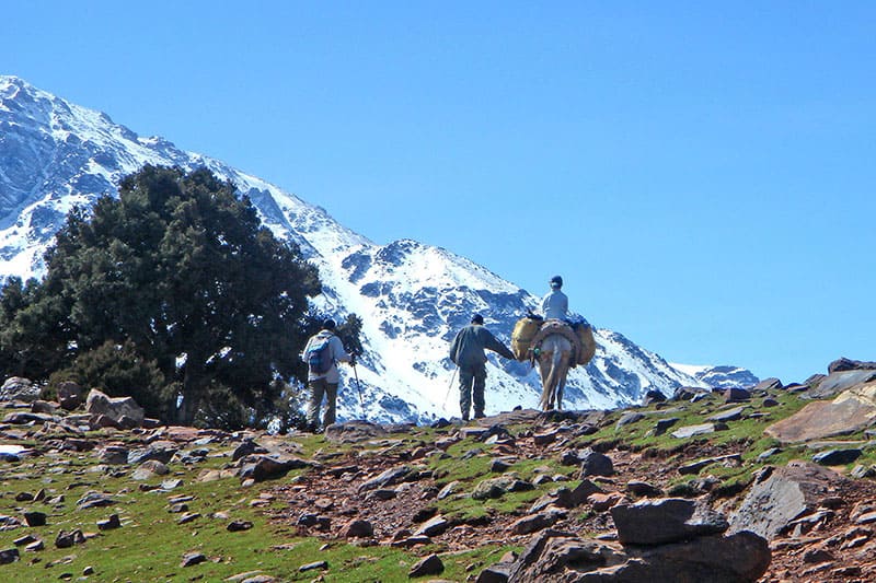 Trekking up the col towards Azzaden Valley