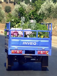 Tuk-tuk on Moroccan road