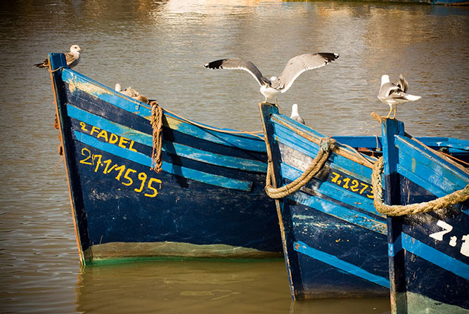Fishing boats, Essaouira
