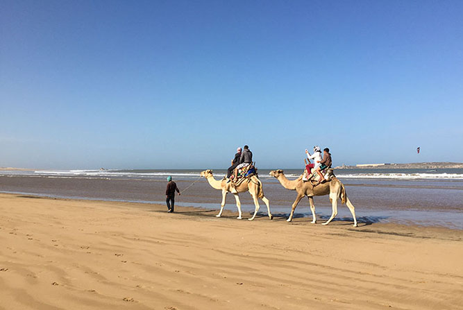 Camel ride, Essaouira beach